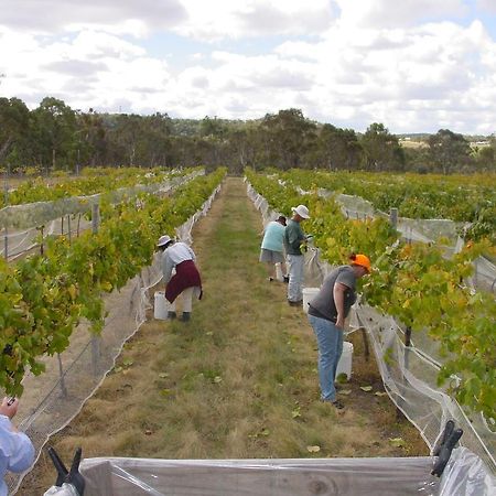 Fergies Hill Spa Cottage @ Granite Ridge Wines Ballandean Luaran gambar