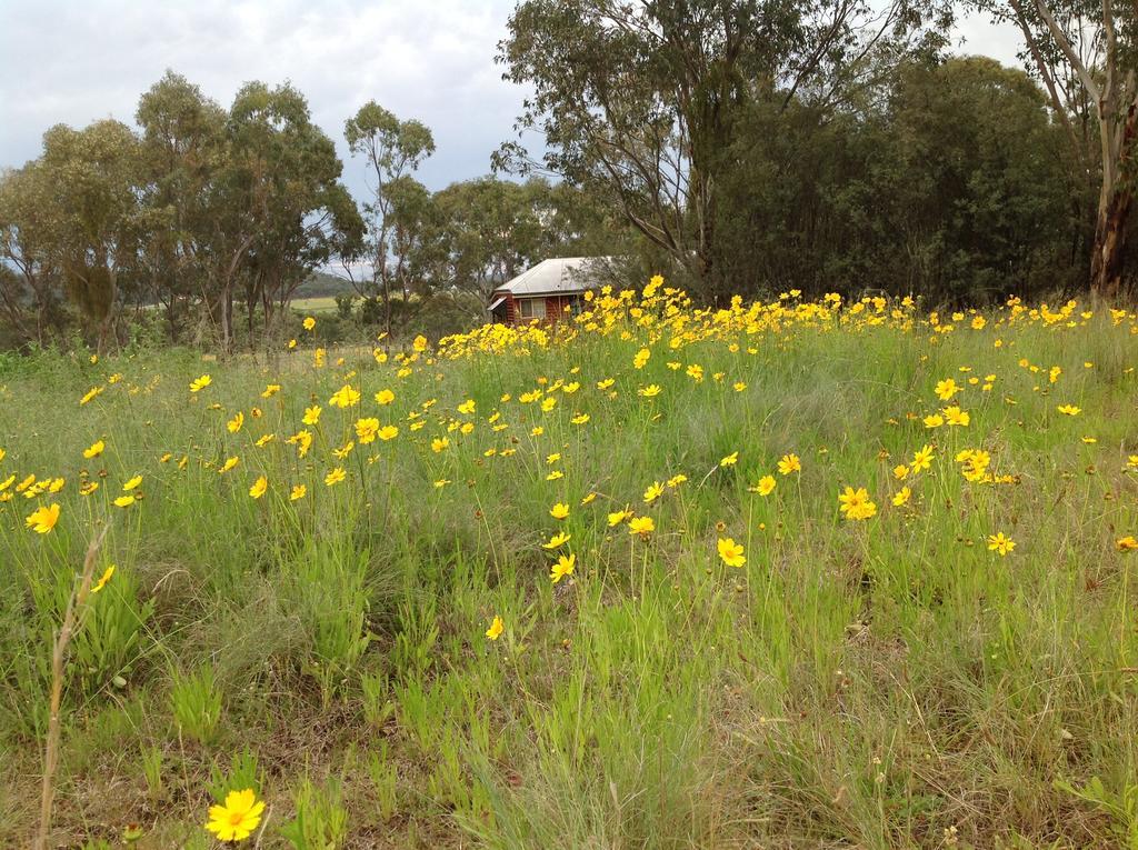 Fergies Hill Spa Cottage @ Granite Ridge Wines Ballandean Luaran gambar